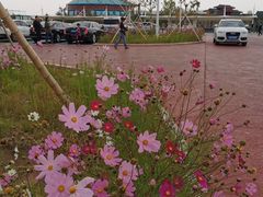 -中国马镇舞马世界主题乐园