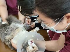 -美联众合动物医院·24h京西诊疗中心