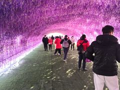 -绿野森林乐园冰雪季