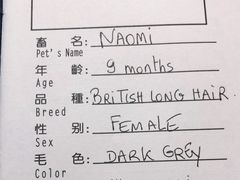 -申普宠物医院·心脏介入·心血管微创(总院)