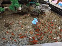 -南美元生态大酒店(海珠店)