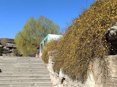 -北京西山国家森林公园