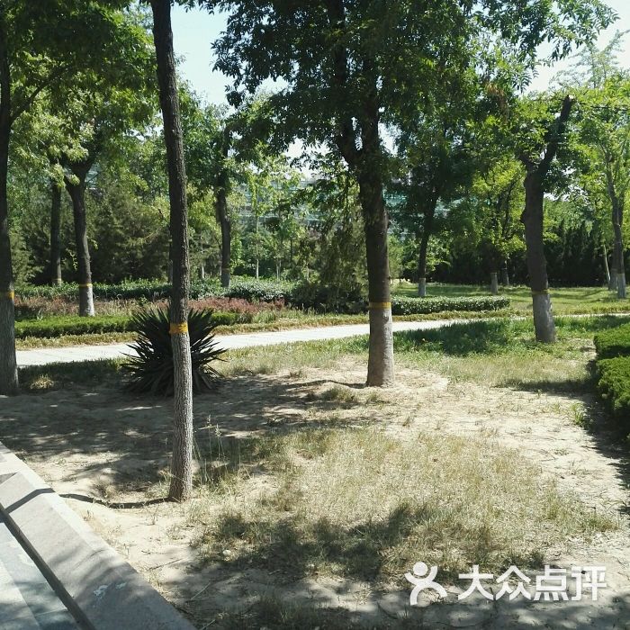 巨力公园图片 - 第8张