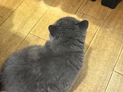 -Rabbit Cafe私房西餐甜点咖啡(栖霞路店)