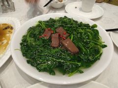 -鹅城