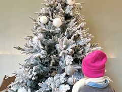 -J Create城市露营咖啡·简餐·宠物(上海动物园店)