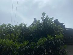 -安庆柴火馄饨(马道街店)