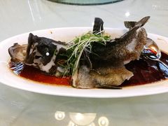 珍珠石斑-满福隆酒楼(万绿园店)