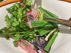 -老凯俚酸汤鱼(省府店)