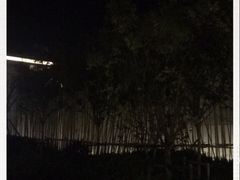 -平湖万怡酒店· 万荟轩