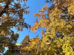 -北京石刻艺术博物馆(五塔寺)