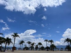 -月亮湾湿地公园