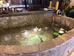 -井水小厨·湘菜(活力广场店)