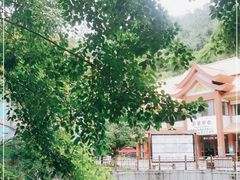 -西双版纳原始森林公园