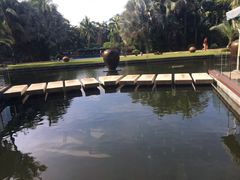 -三亚湾海居铂尔曼度假酒店