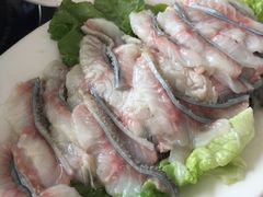 -金砂阿洲鱼册店