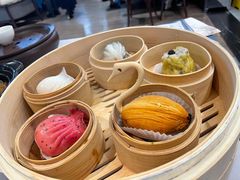 -南棠馆粤菜坊(群光店)