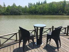 -上海都市菜园