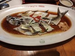 翘嘴鲌鱼-丹江渔村(望京店)