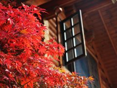 -九如山休闲旅游度假区