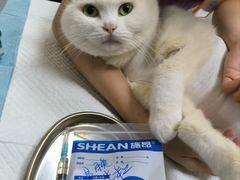 -创凡宠物医院·骨专科  猫科中心(西乡分院)