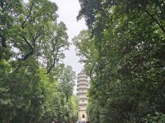 -灵谷景区