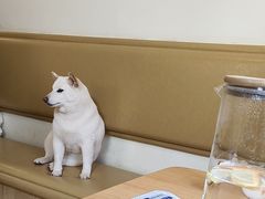 -柴の食堂·日式家庭料理·熊之肆(大学路店)