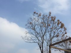 -天目湖涵田半山温泉
