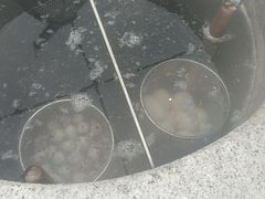 -凤翔首邑温泉度假村