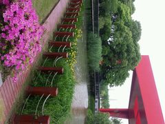 android_upload_pic-中国浦东干部学院
