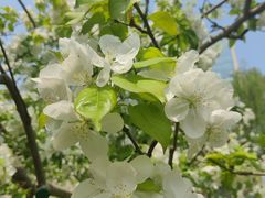 -元大都城垣遗址公园