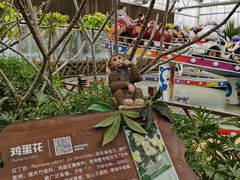 -南宫五洲植物乐园