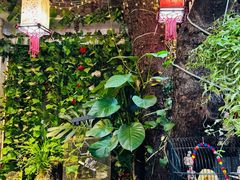 -丽江庭院·云南野生菌·海鲜火锅(鼓楼四合院店)