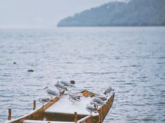 -丽江泸沽湖景区