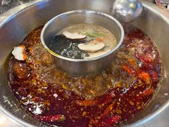 -金鼎雪山牦牛杂火锅(理县总店)