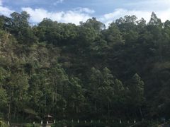 -茗荔园农庄(大涌店)