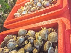 -唐山香格里拉大酒店·香啡阁(长虹西道店)