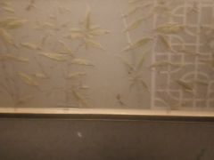 -和子足浴SPA会馆(东方之门店)