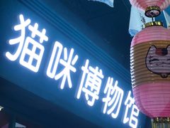 -猫咪博物馆(顶澳仔猫街店)