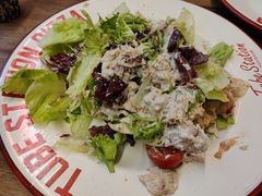 -Tubestation站点比萨(五道营店)