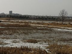 -绿堤公园