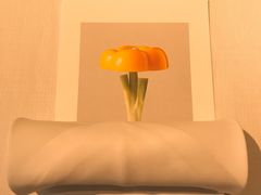 -态芮