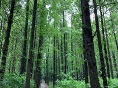 -同里国家湿地公园