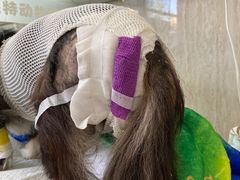 -爱派特动物医院·全科诊疗中心