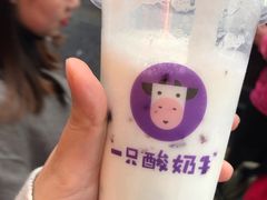 -一只酸奶牛(八一路店)