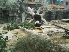 -北京动物园