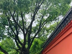 -南北湖风景区