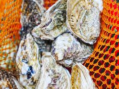 -巽寮印象美食部落餐厅·海鲜·地方特色菜(惠州体验店)