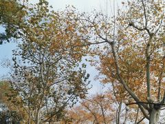 -北山街历史文化街区