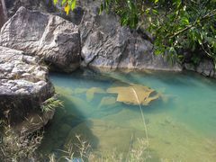 -广州白江湖森林公园